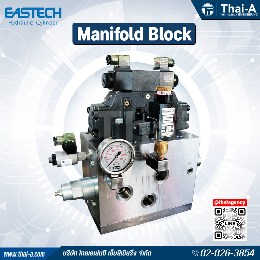 Manifold block