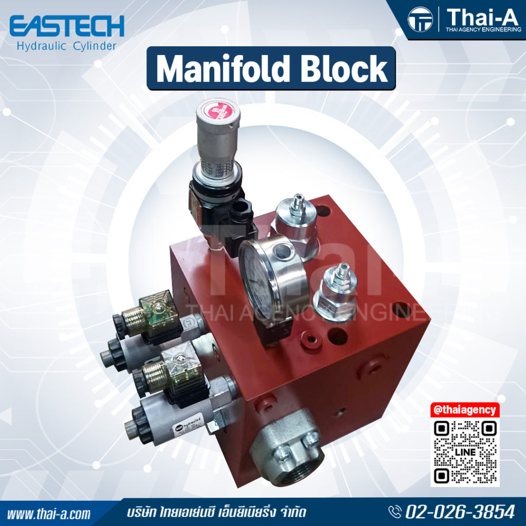 Manifold block